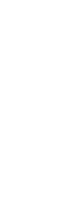 赤湯温泉　櫻湯　山茱萸